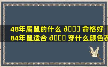 48年属鼠的什么 🐘 命格好「84年鼠适合 🐛 穿什么颜色衣服转运」